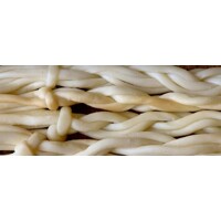 Delta  termofilná DL1 na korbáčiky a parenice 50-100 litrov mlieka