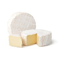 Sigma 71 - pomalé prezrievanie - Penicillium Candidum na 100 l mlieka